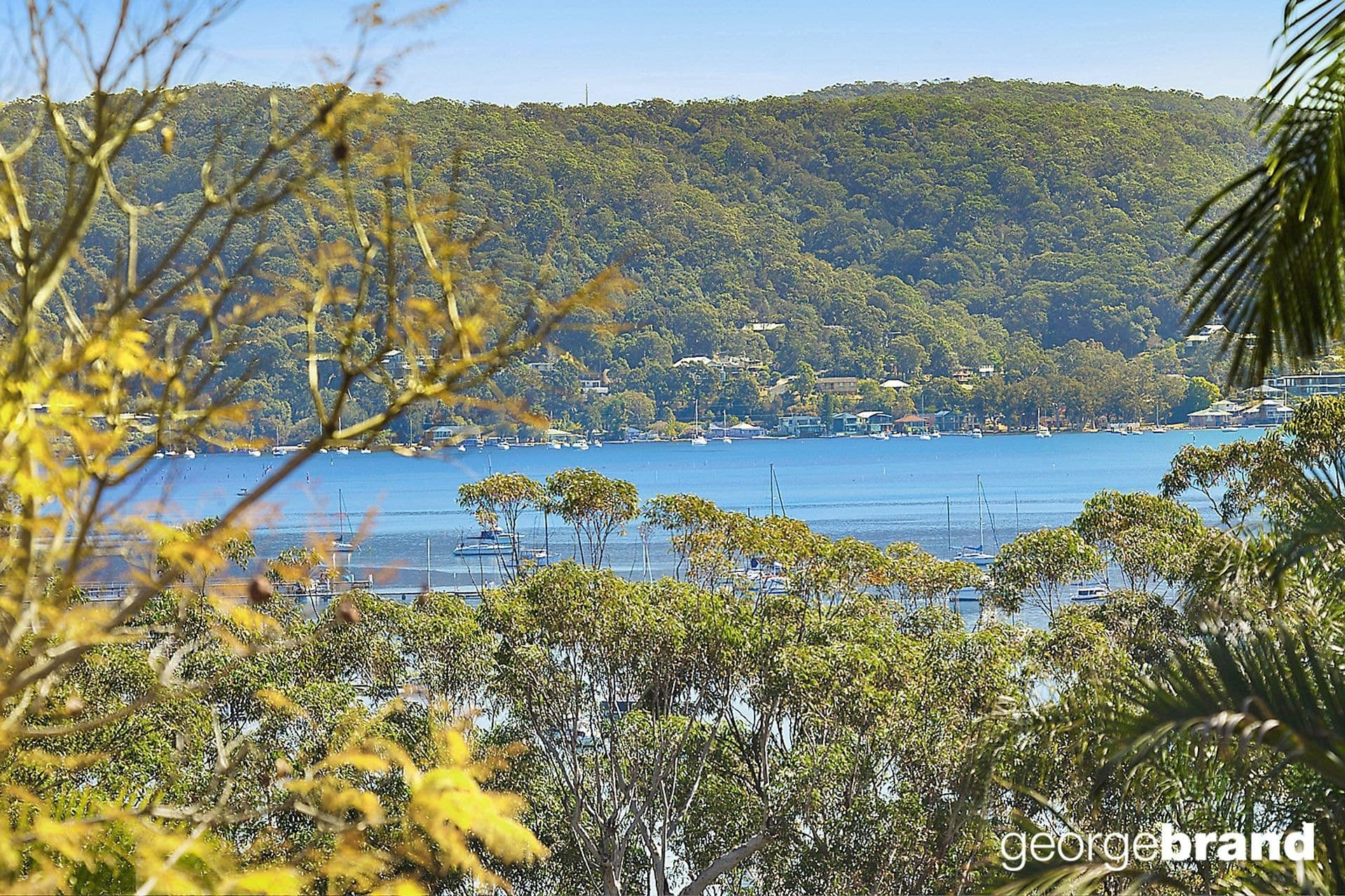 14 Moonah Avenue SARATOGA NSW, Saratoga - Thumbnail 3