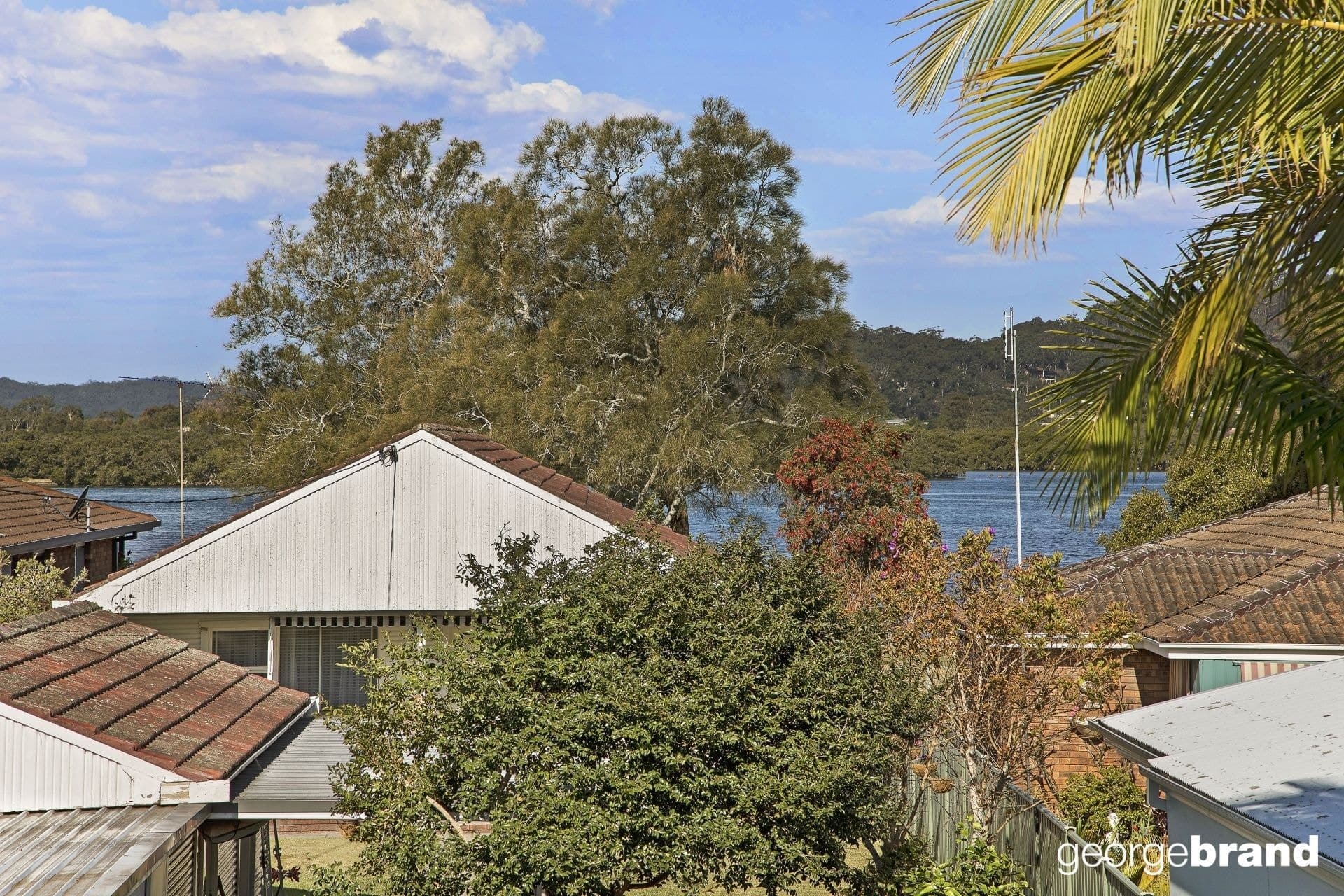 222 Burge Road WOY WOY NSW, Woy Woy - Thumbnail 3