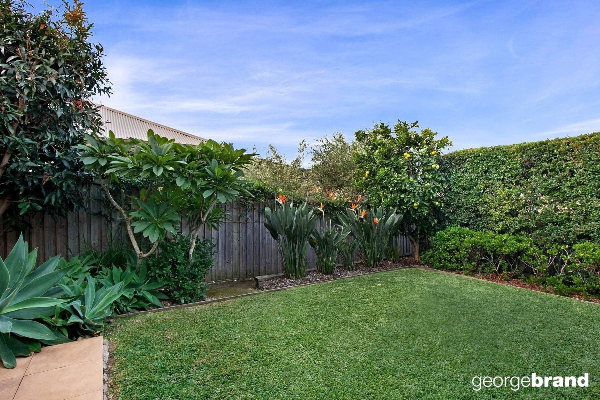 19 Figtree Bay Drive KINCUMBER NSW, Kincumber - Image 1