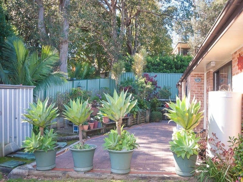 6 Shannon Close KINCUMBER NSW, Kincumber - Thumbnail 6
