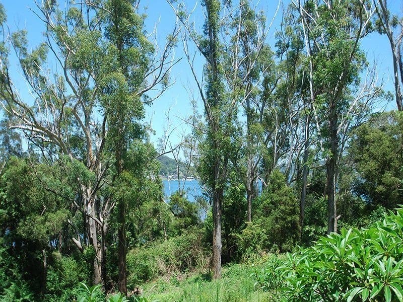 12 Pixie Avenue GREEN POINT NSW, Green Point - Thumbnail 3