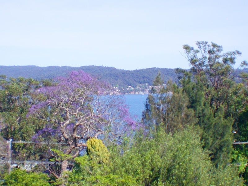 GREEN POINT, Green Point - Thumbnail 3