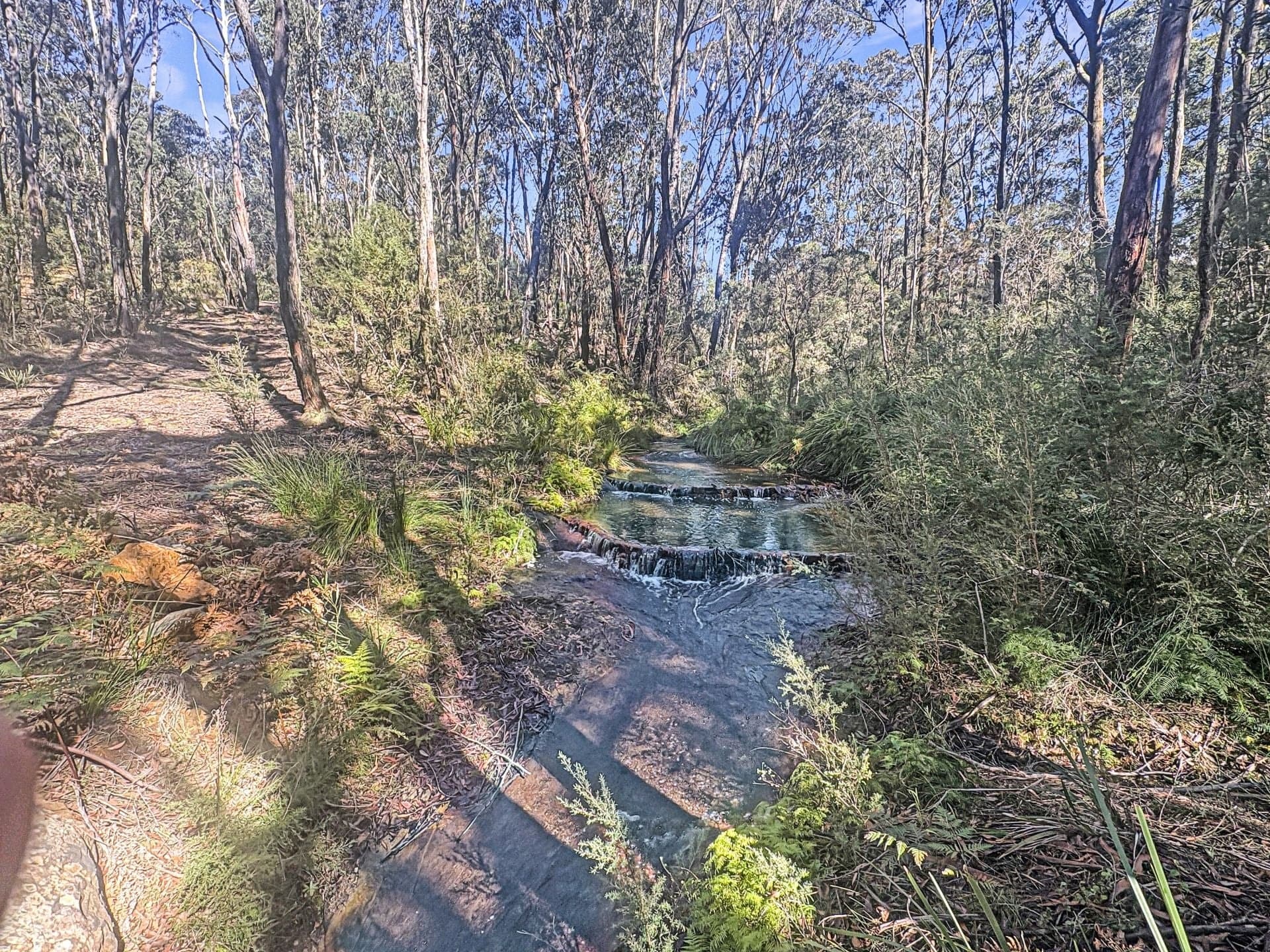 260 Drapers Road Colo Vale NSW, Colo Vale - Thumbnail 4