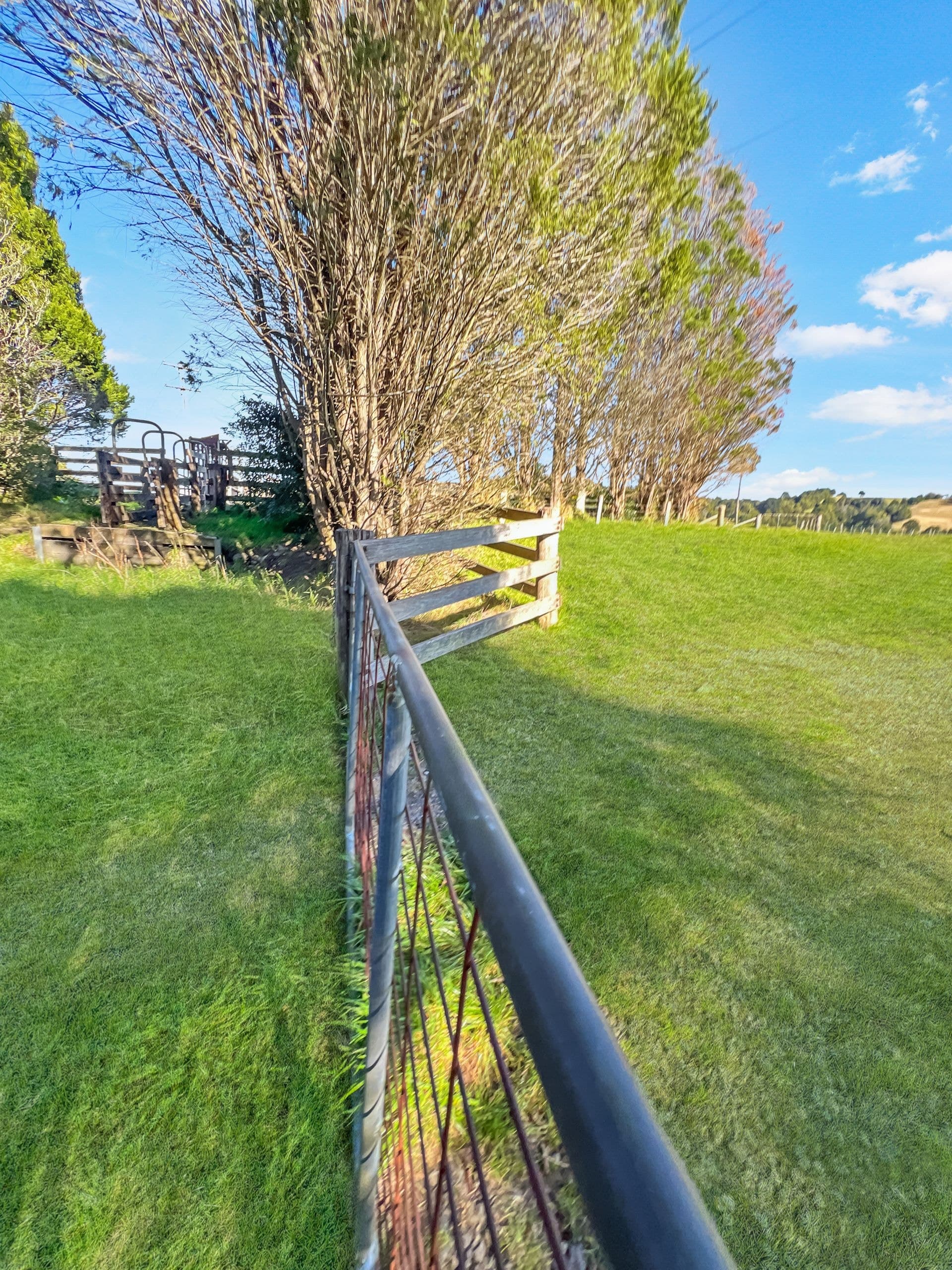 188 Fountaindale Road Robertson NSW, Robertson - Thumbnail 2