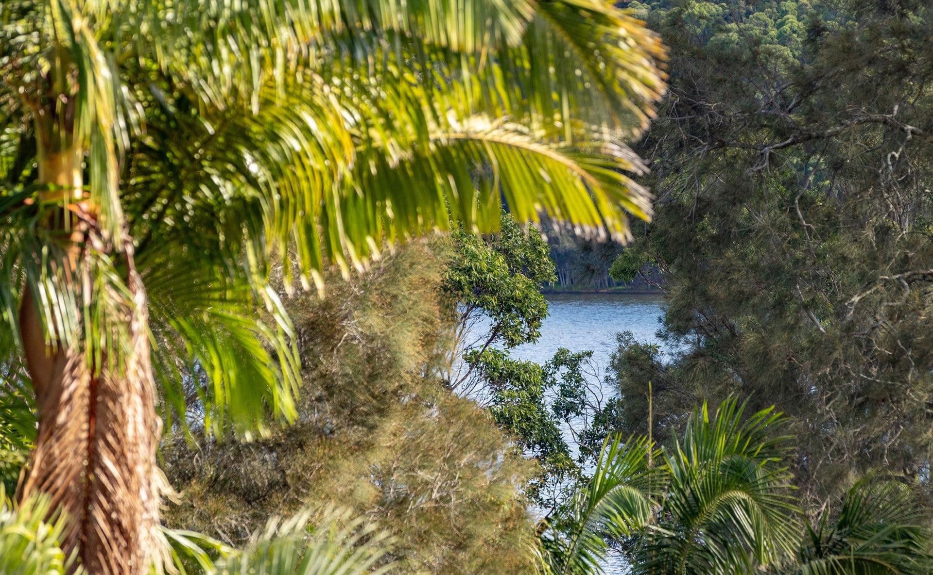 31 Windsor Street, Tarbuck Bay NSW, Tarbuck Bay - Thumbnail 4