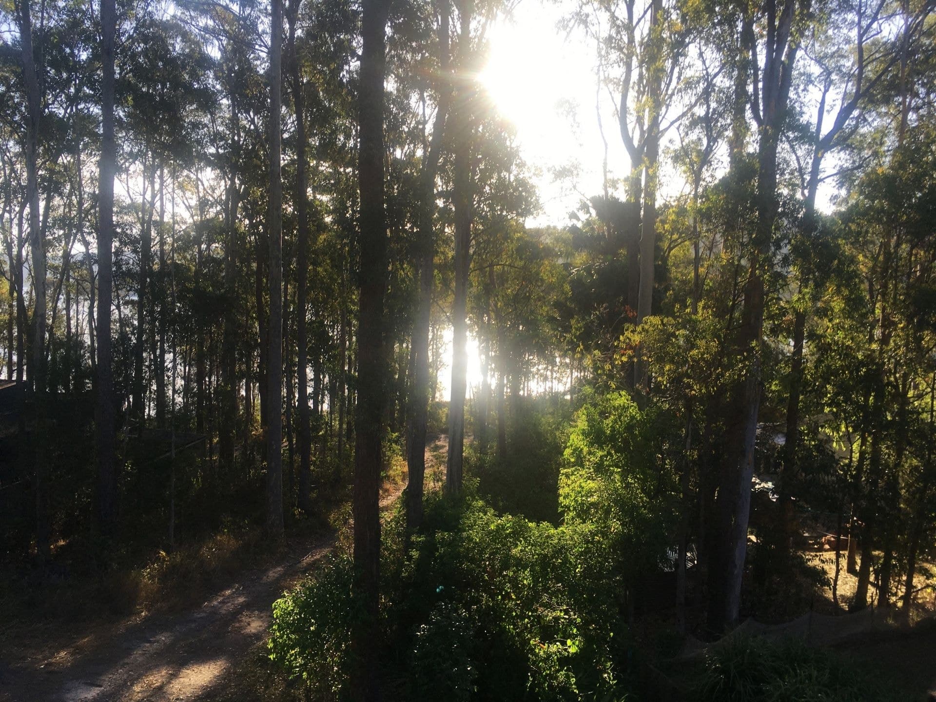 16 Crown Close, Tarbuck Bay NSW, Tarbuck Bay - Thumbnail 6