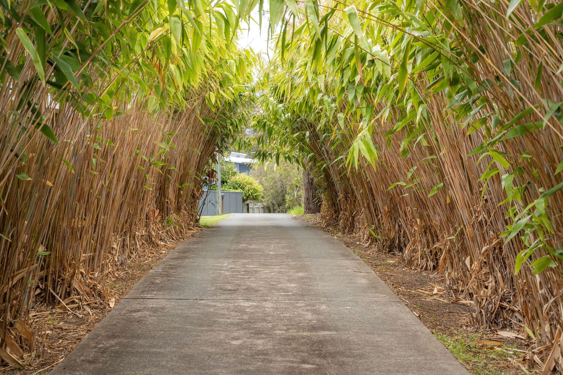 25 Tropic Gardens Drive, Smiths Lake NSW, Smiths Lake - Image 1