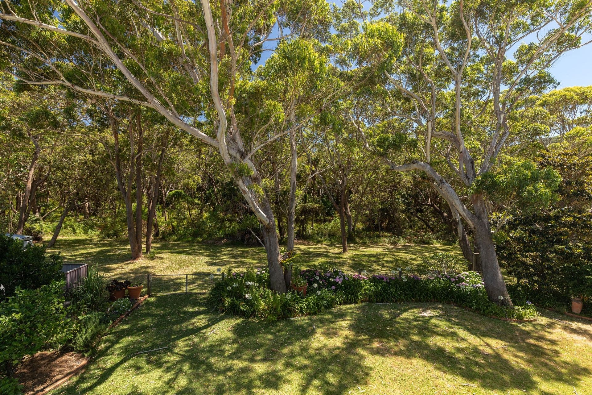 17 Boomerang Drive, Boomerang Beach NSW, Boomerang Beach - Thumbnail 7