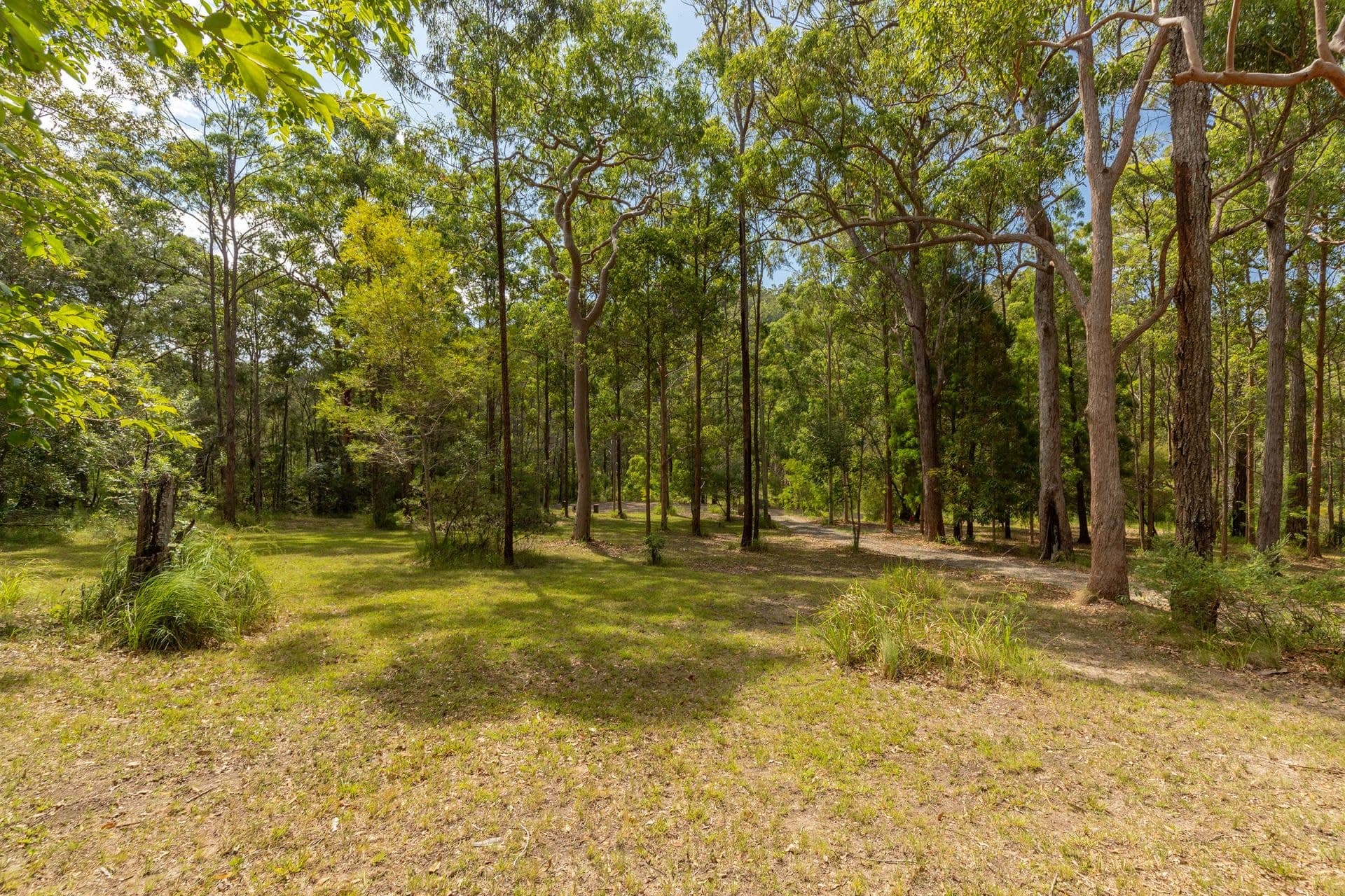 41 Dubbo Place, Coomba Bay NSW, Coomba Bay - Thumbnail 3