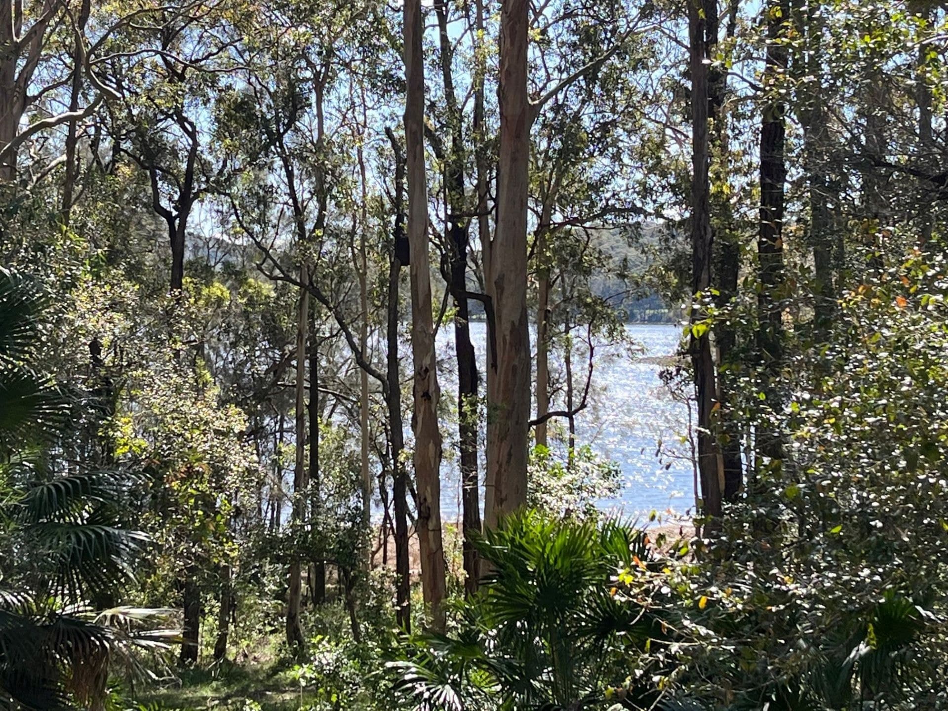 109 Amaroo Drive, Smiths Lake NSW, Smiths Lake - Thumbnail 6
