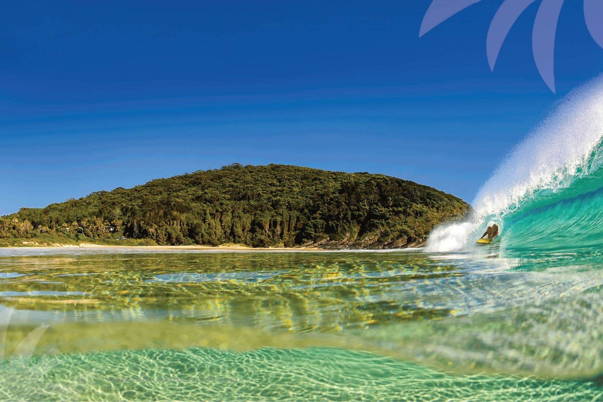 20 Pacific Parade, Elizabeth Beach NSW, Elizabeth Beach - Image 1