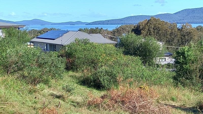 6 Yarran Place, Coomba Park NSW, Coomba Park - Thumbnail 3