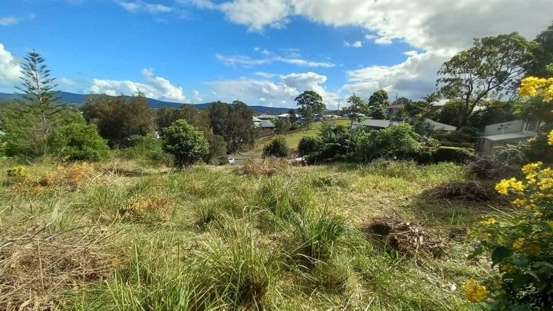 6 Yarran Place, Coomba Park NSW, Coomba Park - Thumbnail 4
