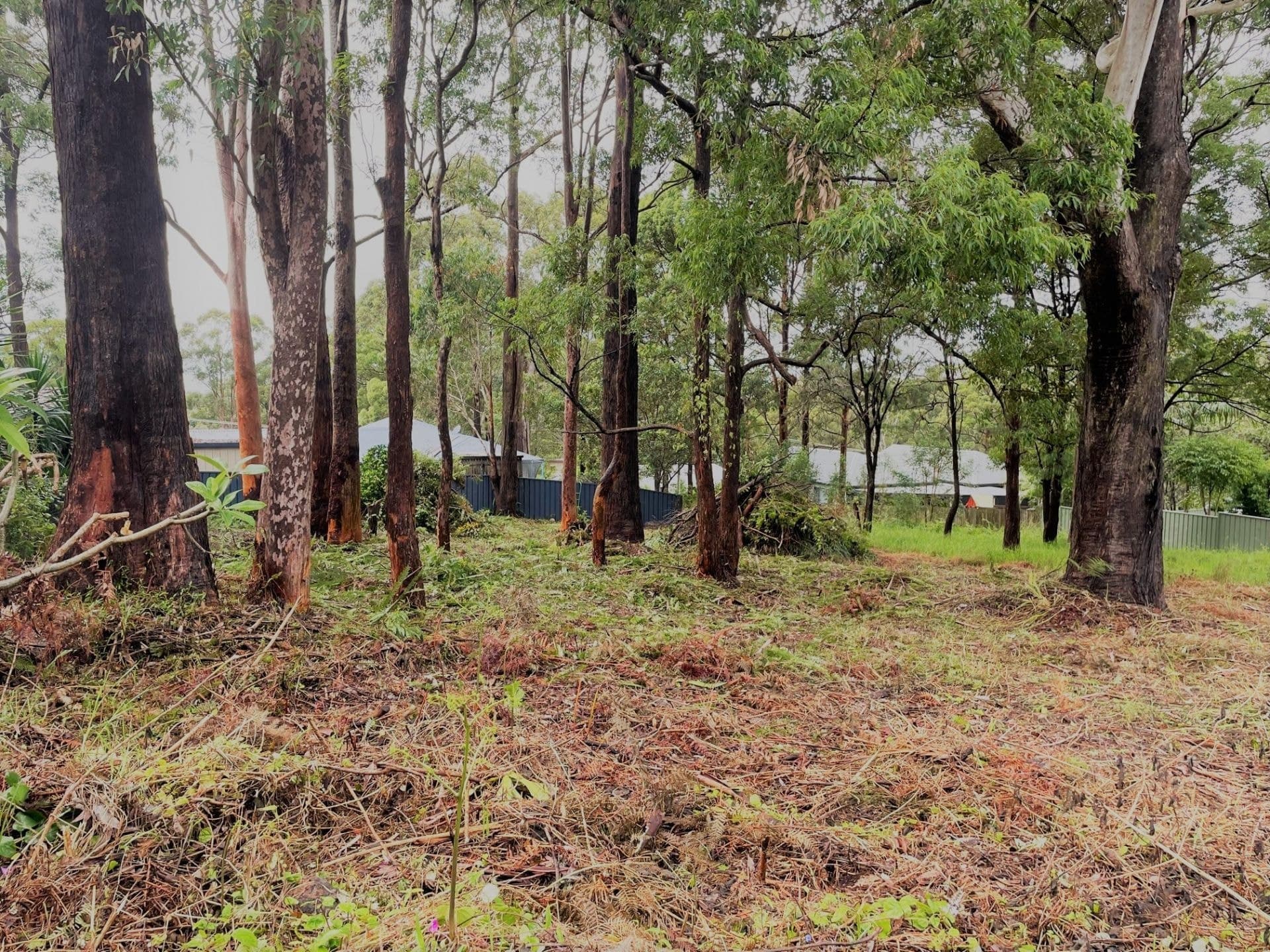 25 Macwood Road, Smiths Lake NSW, Smiths Lake - Thumbnail 4