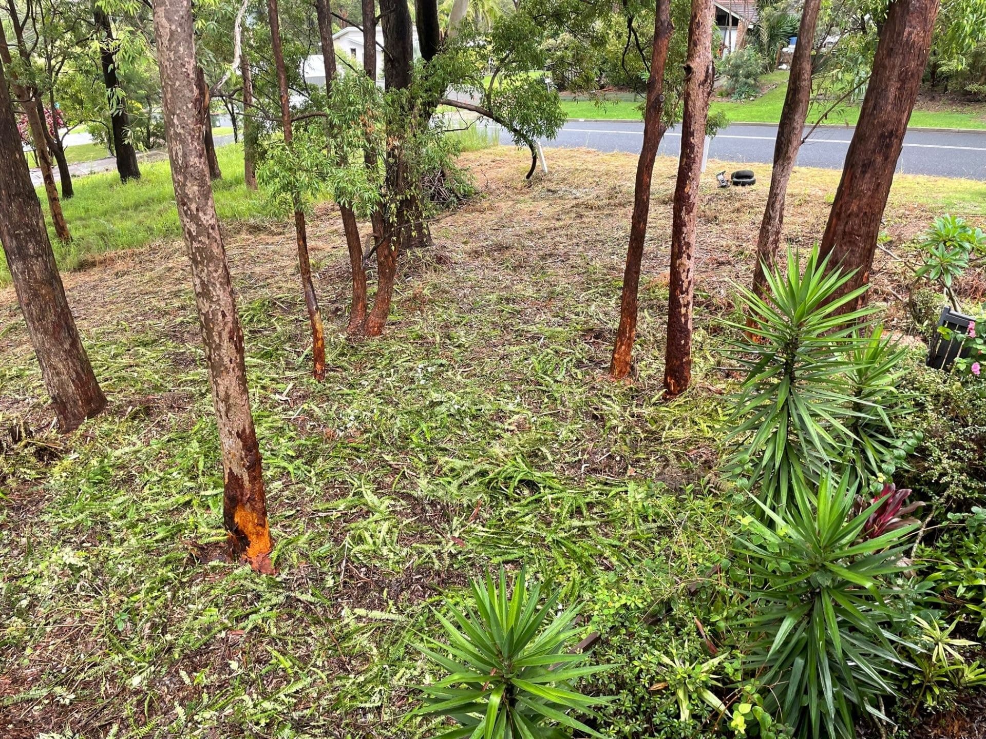25 Macwood Road, Smiths Lake NSW, Smiths Lake - Thumbnail 5
