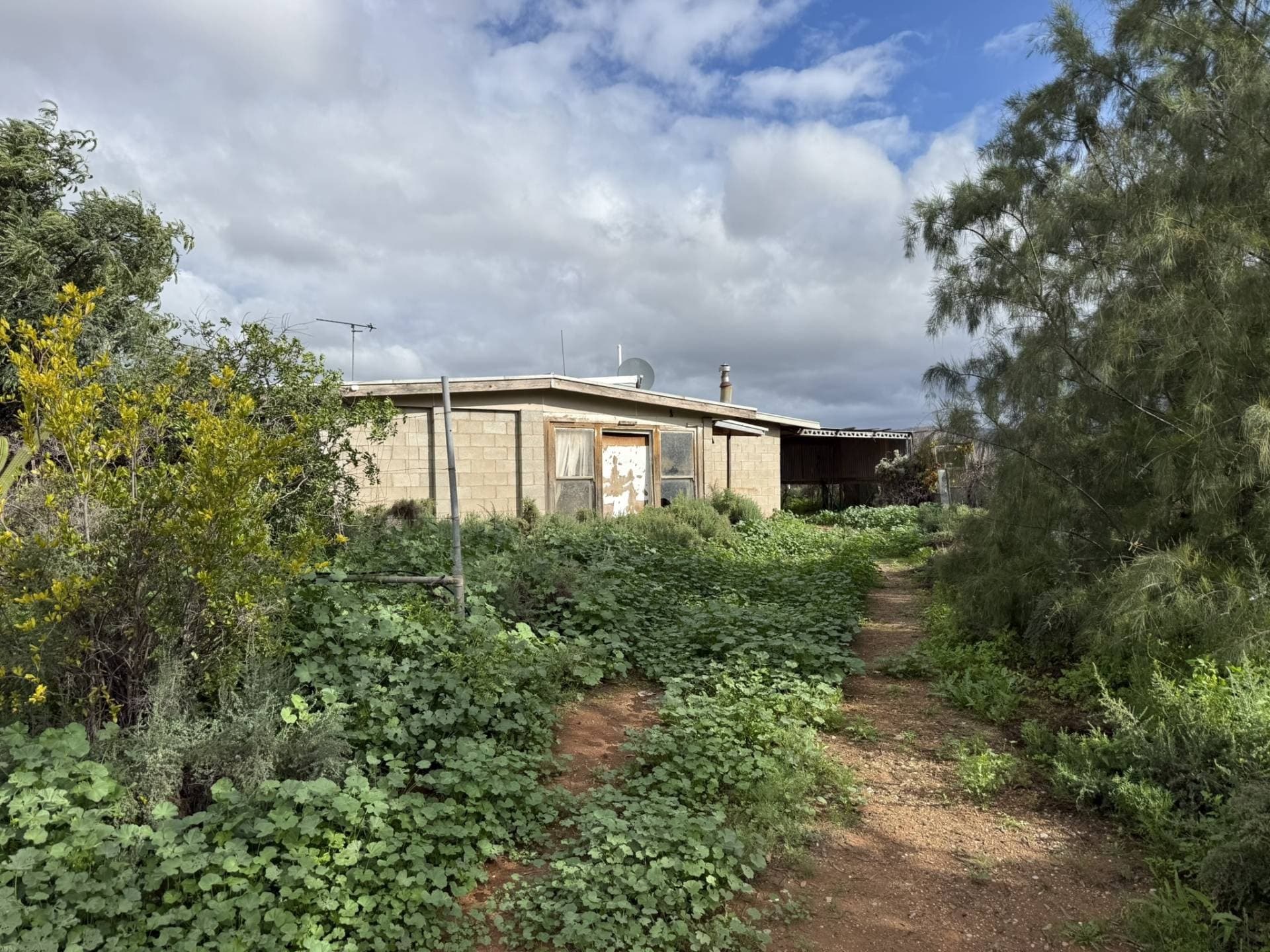 67 Barndioota Road, Hawker - Image 1