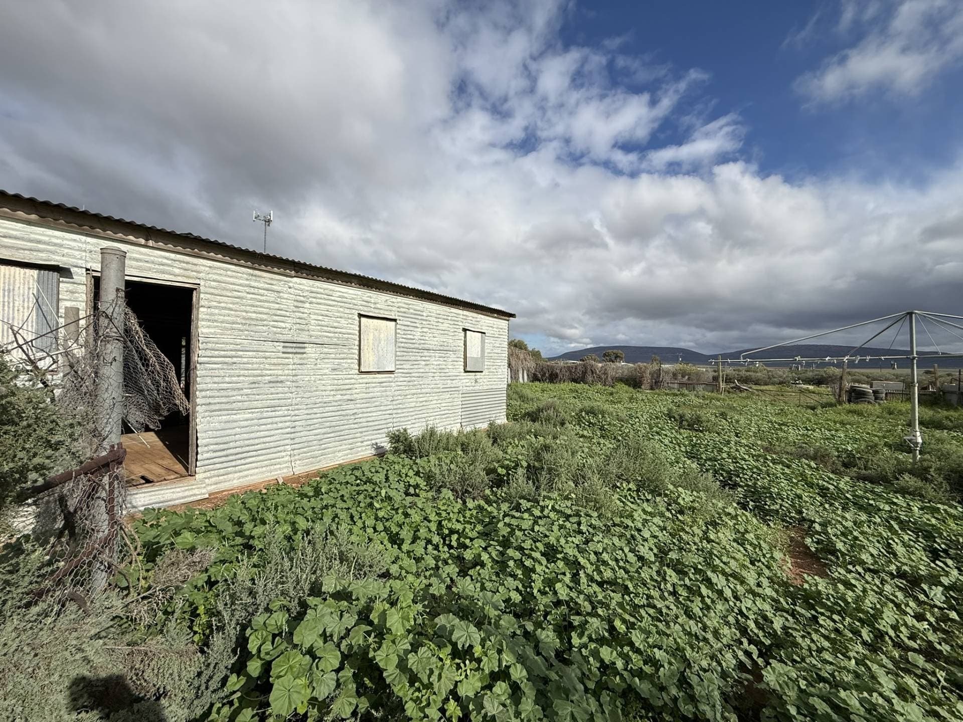 67 Barndioota Road, Hawker - Thumbnail 4