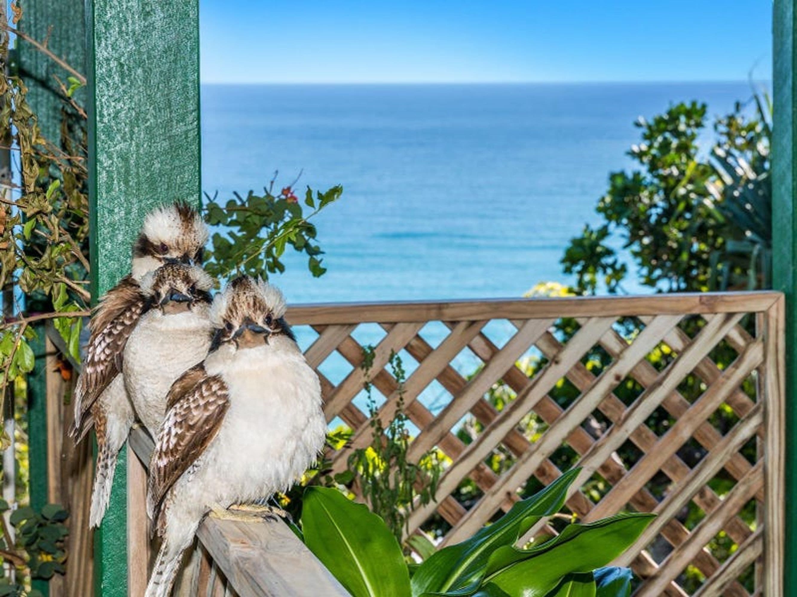 27 Brownell Drive, Byron Bay - Thumbnail 6