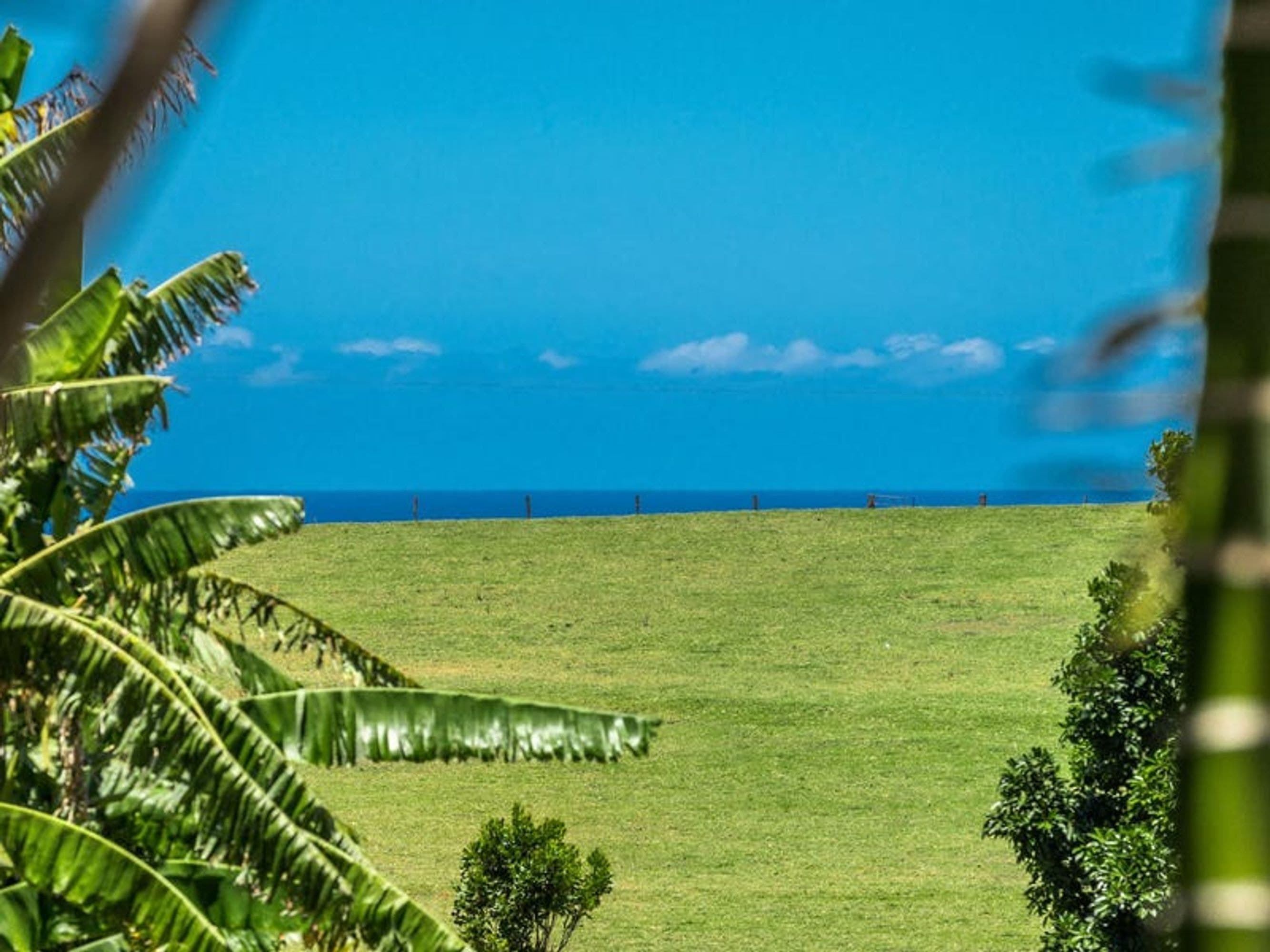 22 Old Byron Bay Road, Newrybar - Thumbnail 2