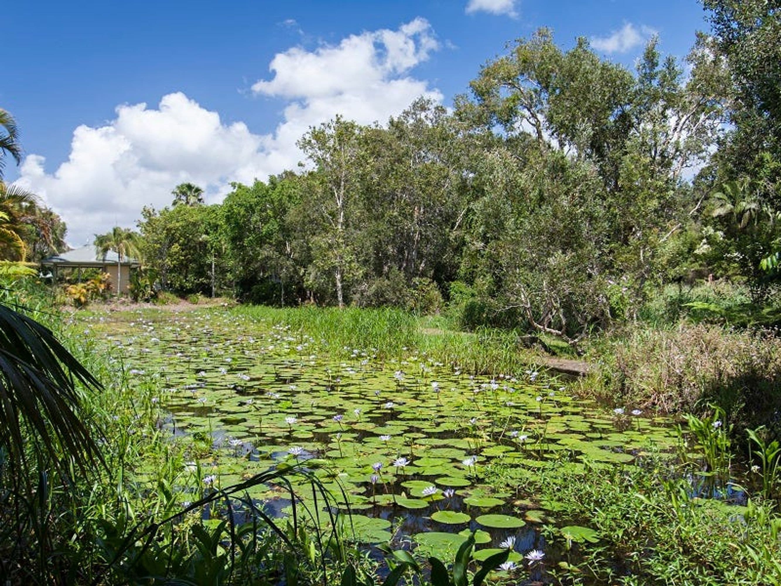 15/5-7 Old Bangalow Road, Byron Bay - Thumbnail 6