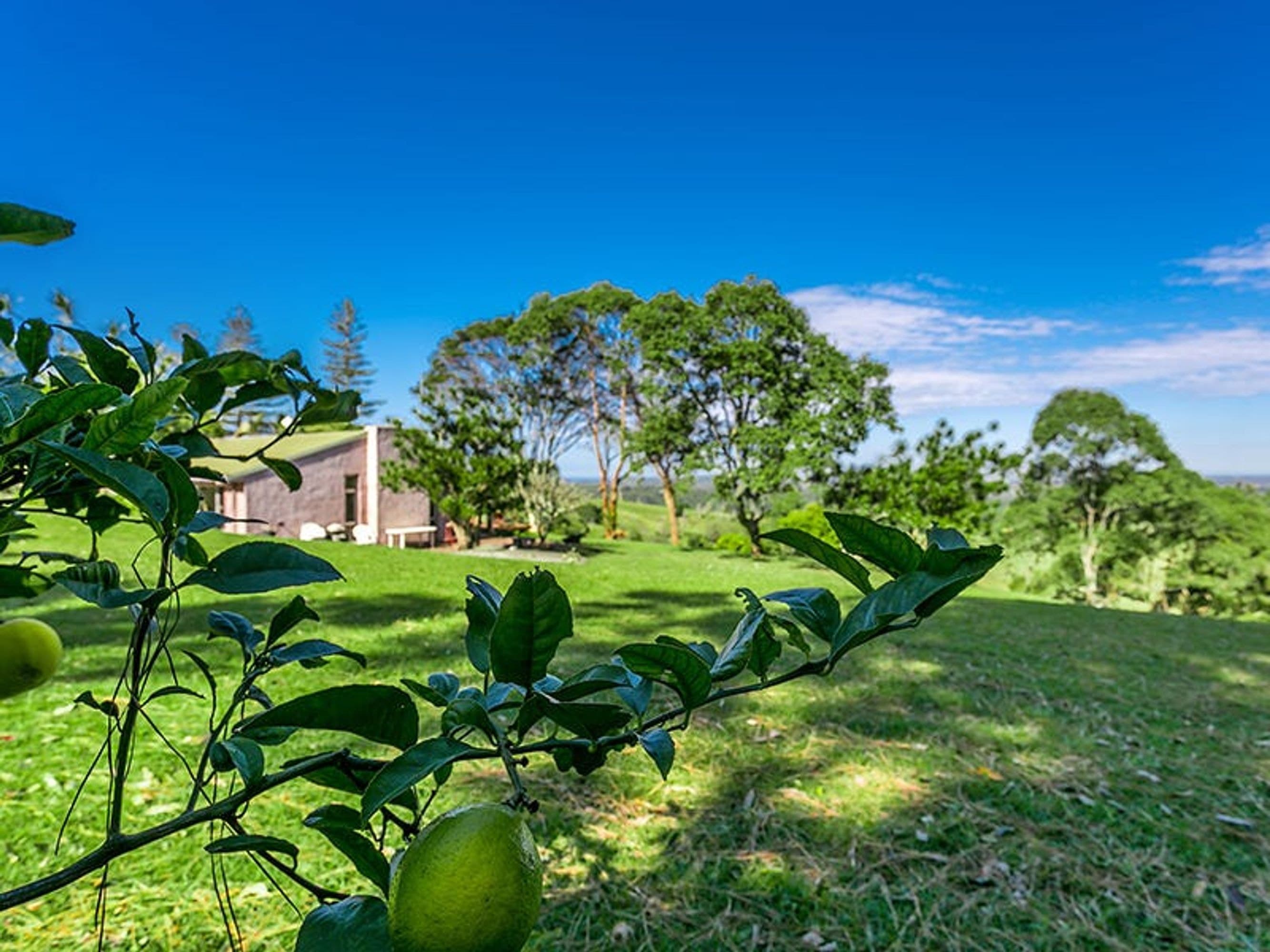 253 Coopers Shoot Road, Coopers Shoot - Thumbnail 4