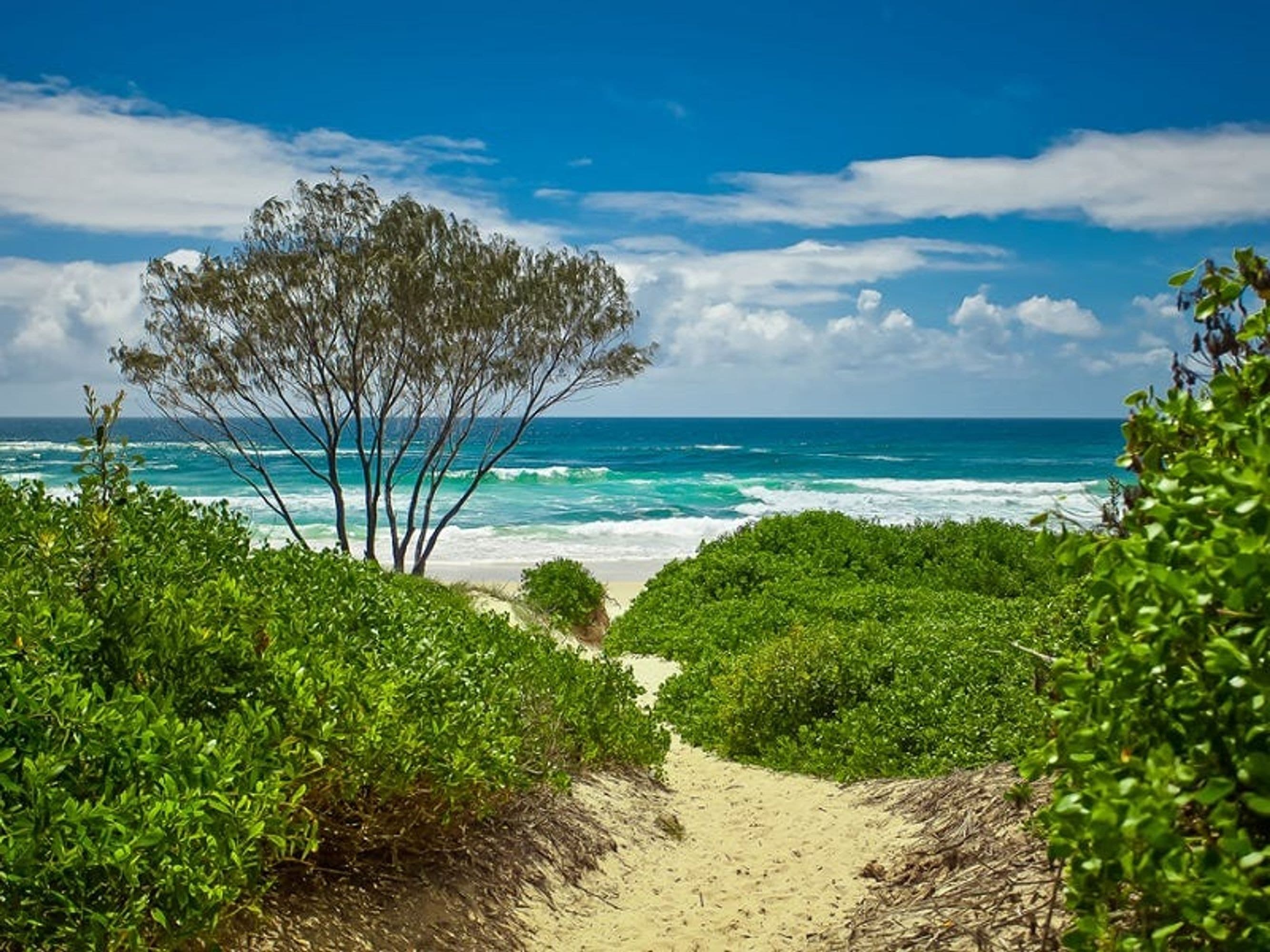 33/24 Scott Street, Byron Bay - Thumbnail 2