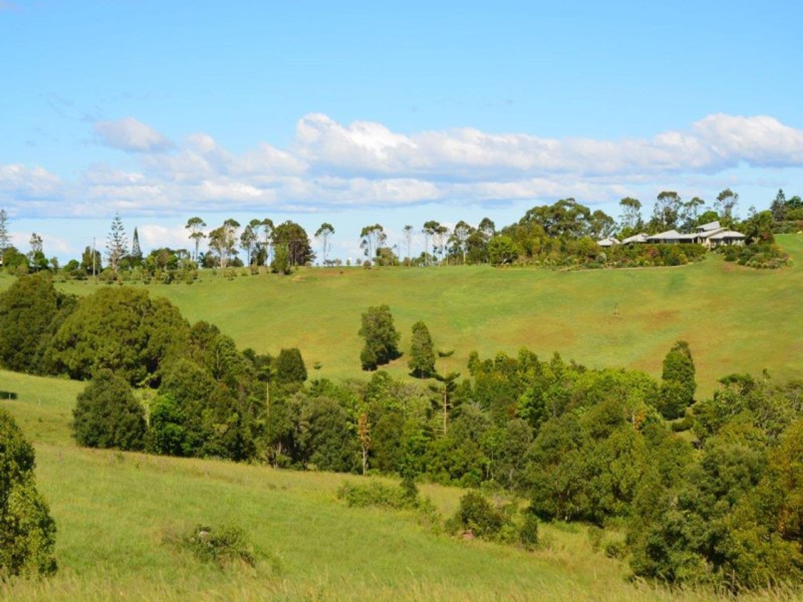 Lot 1 Prior Drive, Coopers Shoot - Thumbnail 7