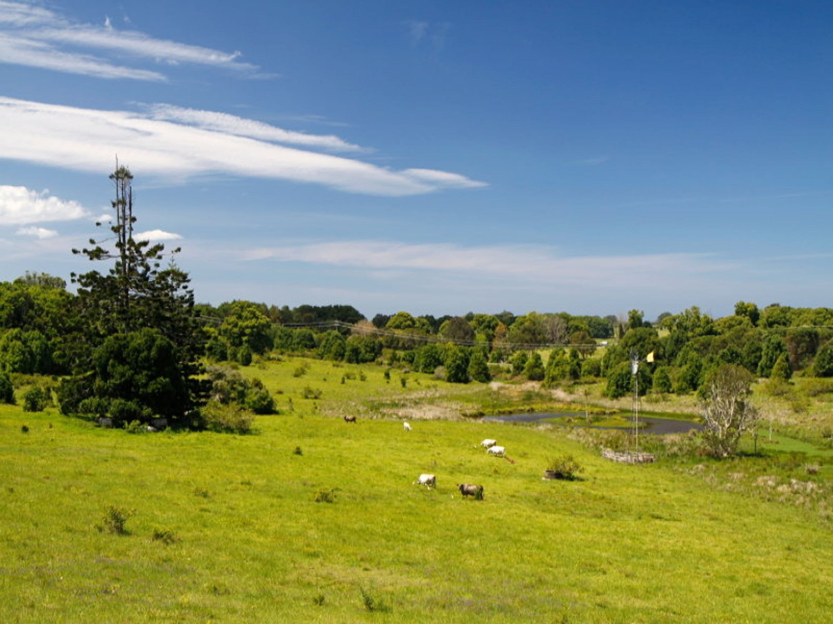 60 Myocum Road, Ewingsdale - Thumbnail 2