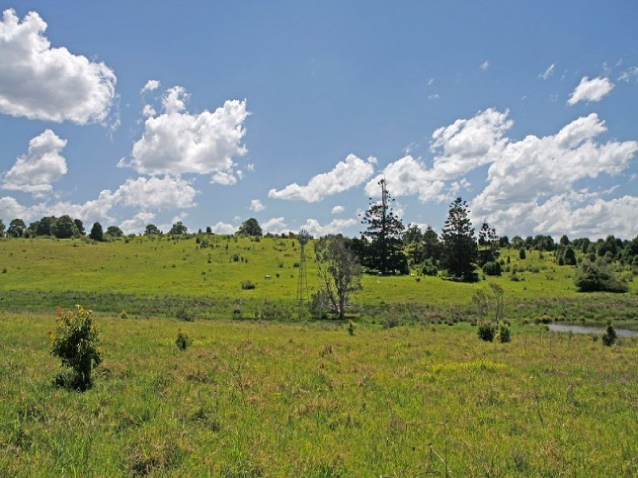 60 Myocum Road, Ewingsdale - Thumbnail 3