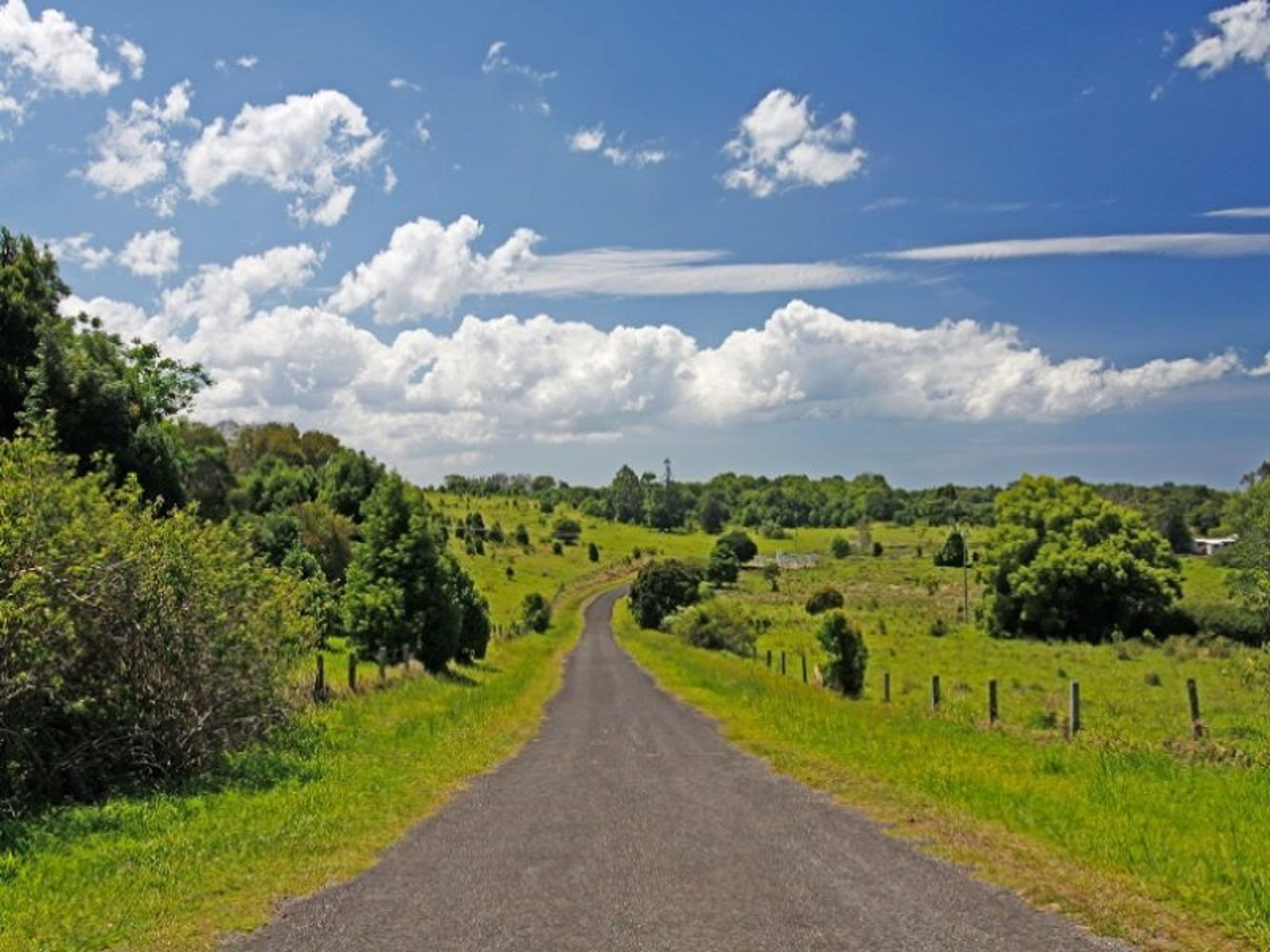 60 Myocum Road, Ewingsdale - Thumbnail 4