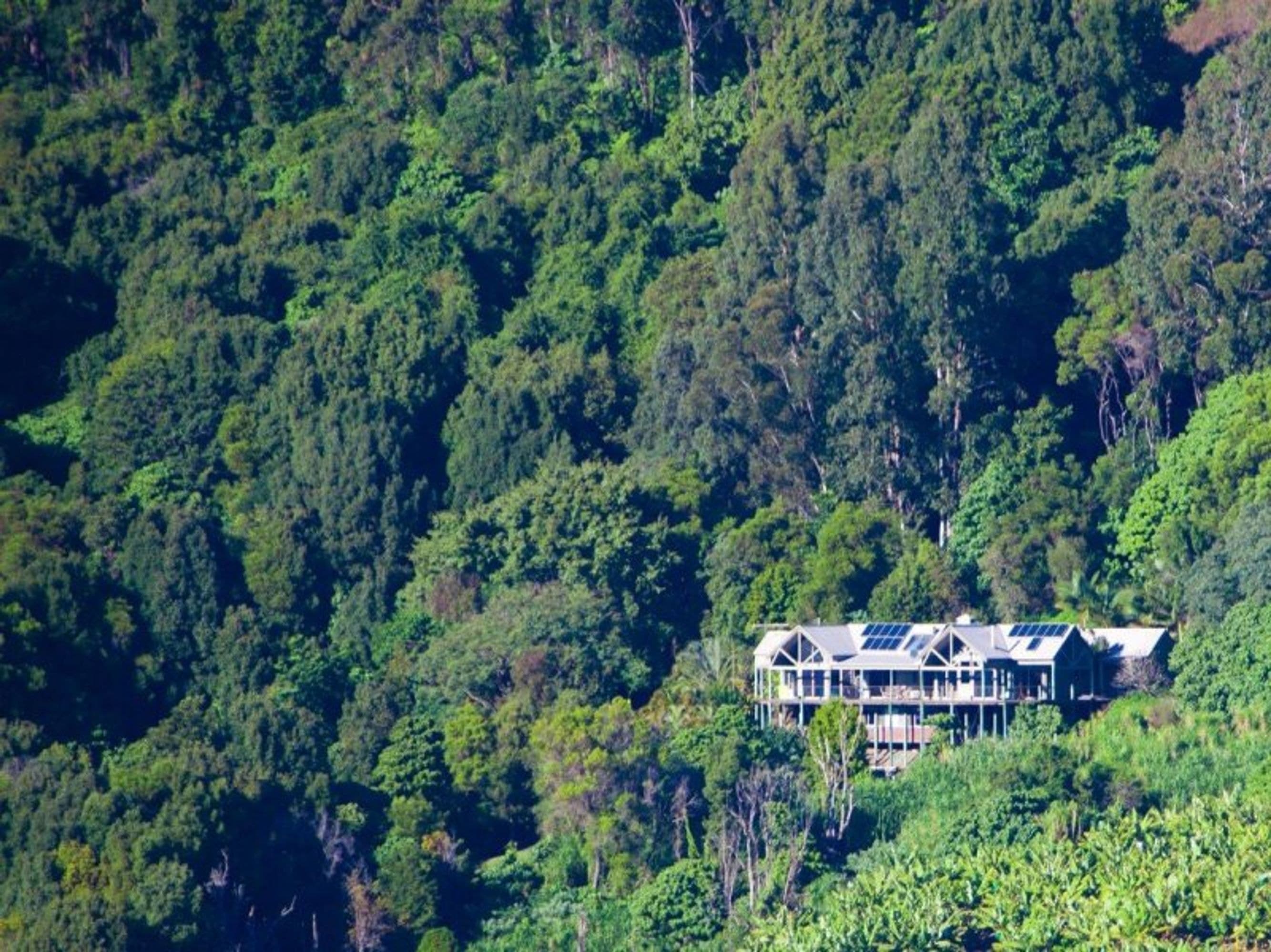 663 Left Bank Road, Mullumbimby - Thumbnail 3