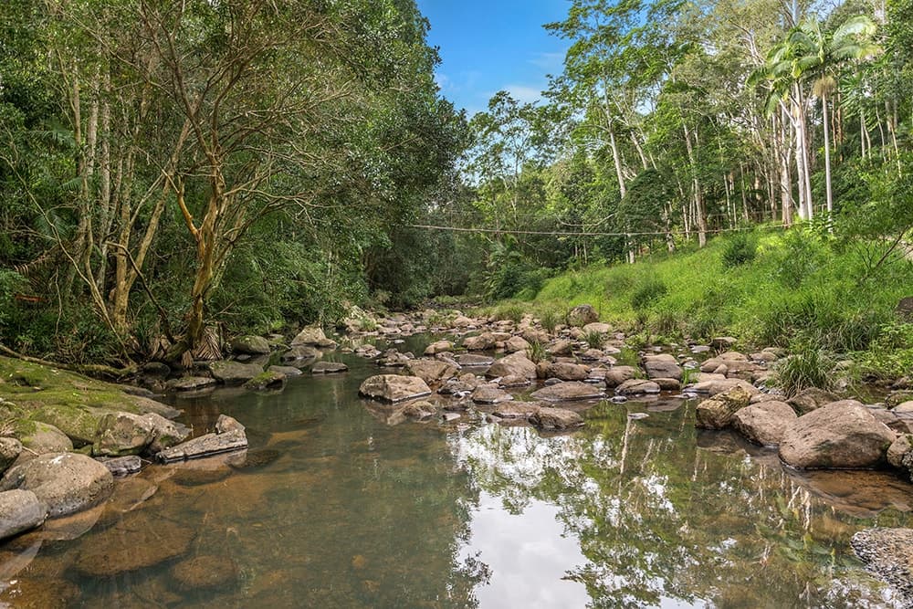 21 Snows Creek Rd, Upper Coopers Creek NSW 2482, Upper Coopers Creek - Thumbnail 4
