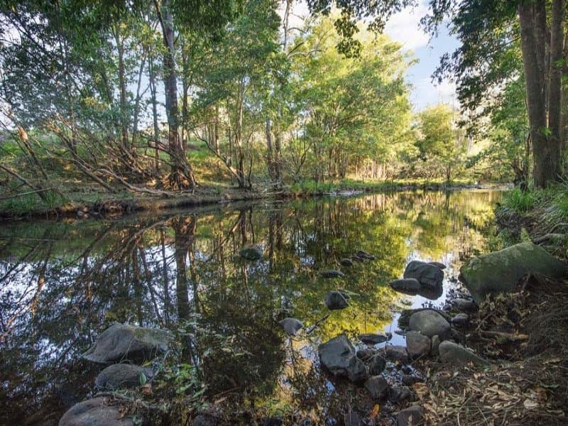 1874 Kyogle Road, Uki NSW 2484, Uki - Thumbnail 4