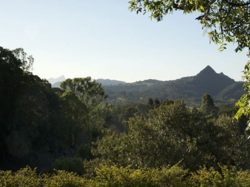 3 Fawcett St, Brunswick Heads, NSW, 2483, Mullumbimby - Thumbnail 2