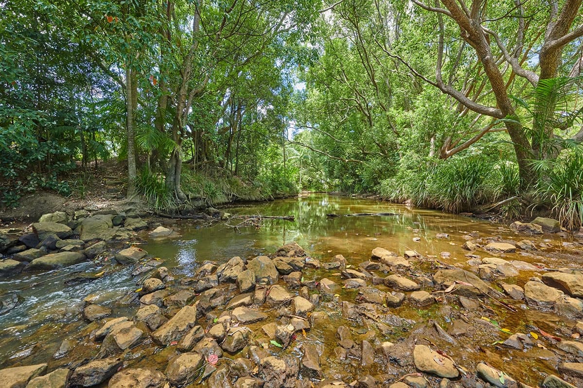 1 Left Bank Rd, Mullumbimby NSW 2482, Mullumbimby - Thumbnail 3