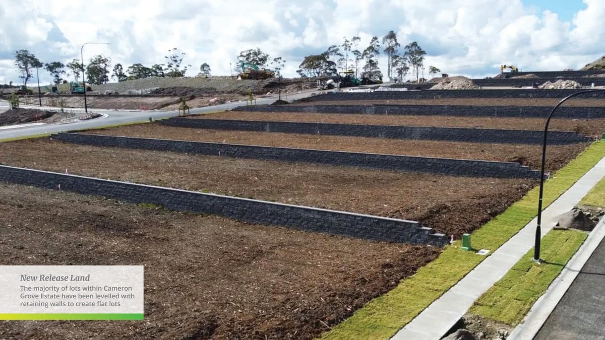 Lot 1038 Broadmeadow Way, Edgeworth NSW 2285, Edgeworth - Thumbnail 6
