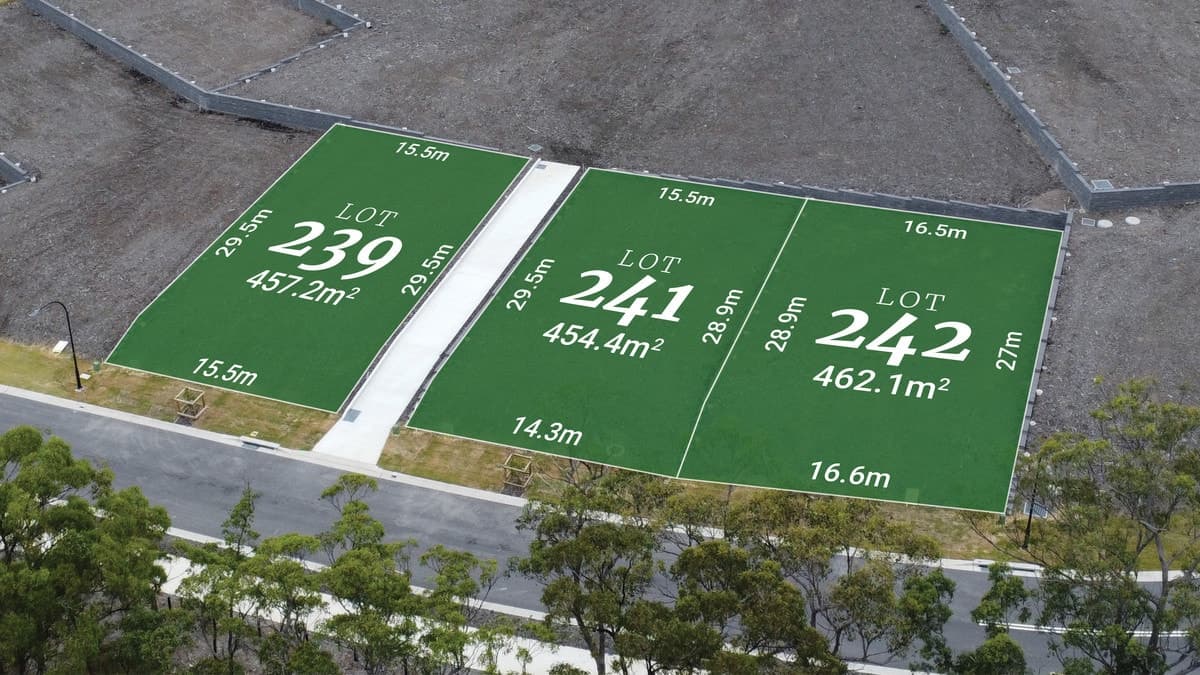 Lot 241 Fig Crescent, Cameron Park NSW 2285, Cameron Park - Thumbnail 4