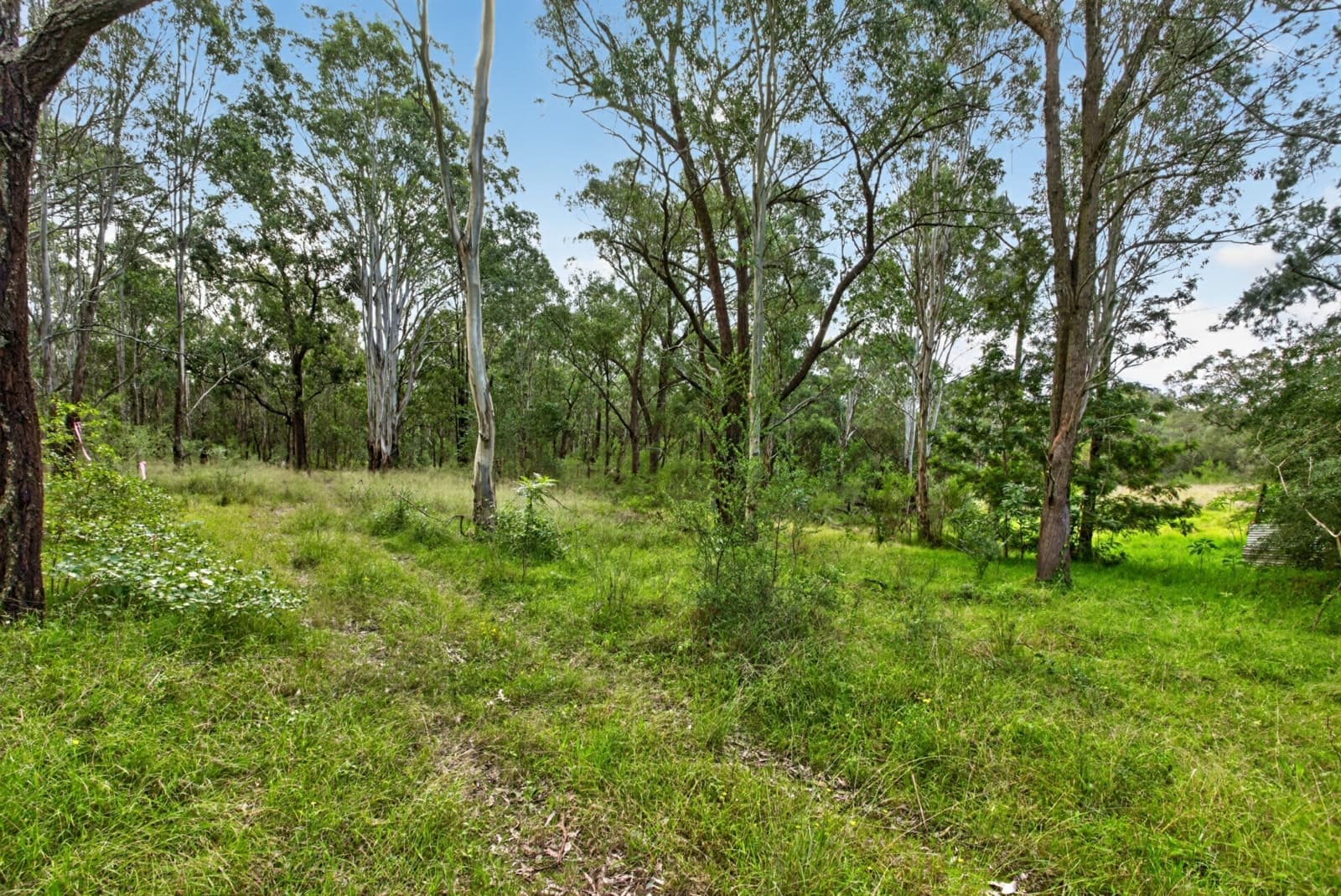 Lots 12, 1 Sydney Street, GRANTHAM FARM, Grantham Farm - Thumbnail 4