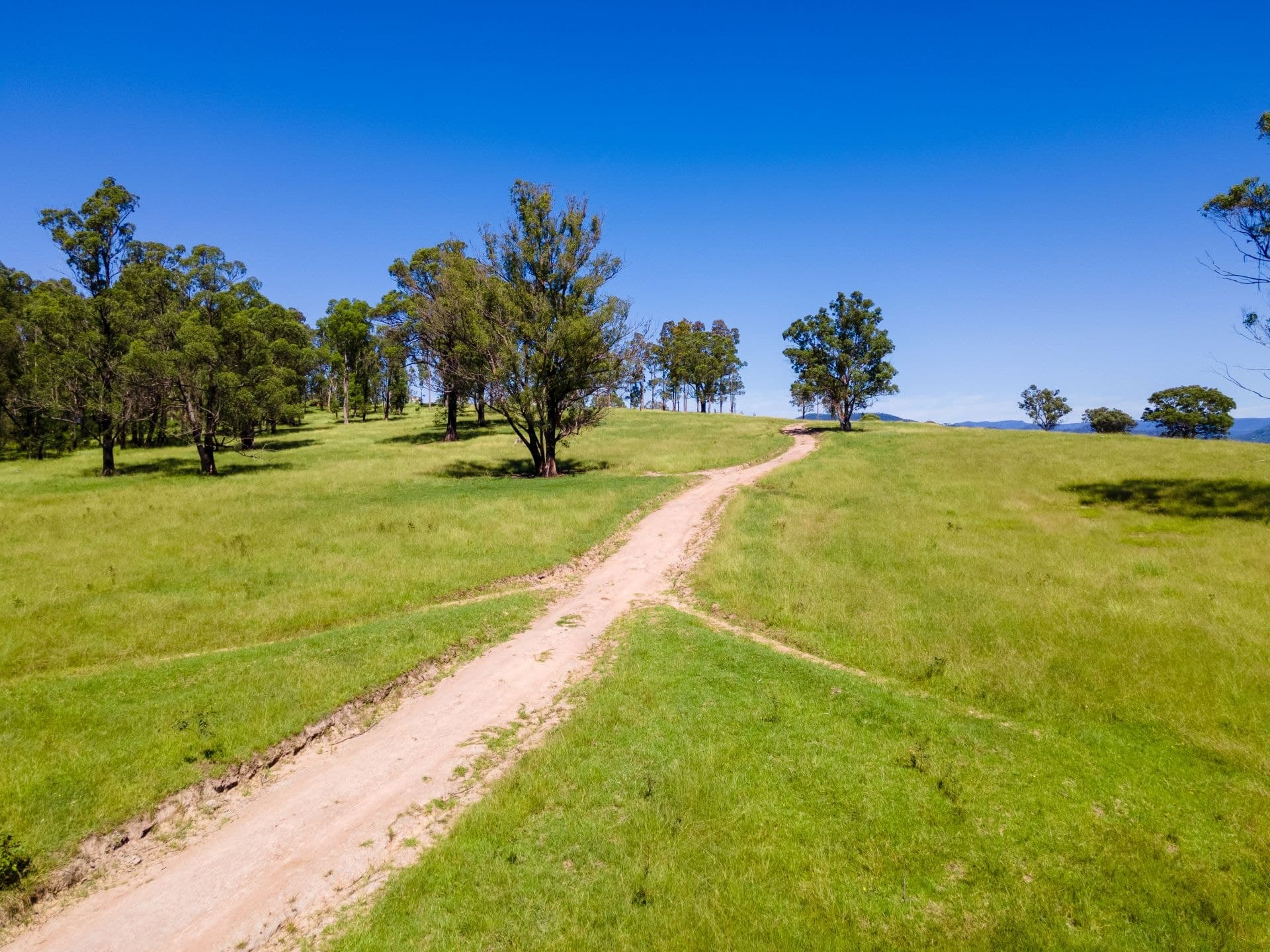36 Cobargo Tip Road Cobargo NSW, Cobargo - Image 1