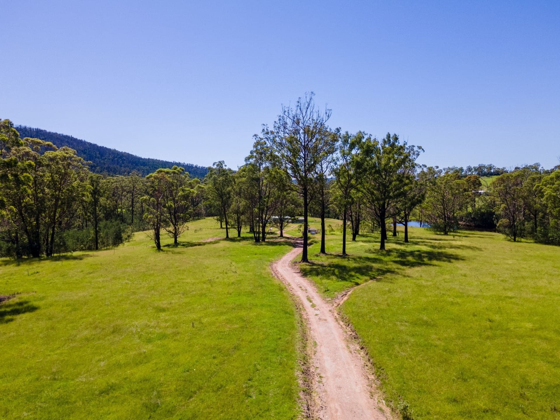 36 Cobargo Tip Road Cobargo NSW, Cobargo - Thumbnail 2