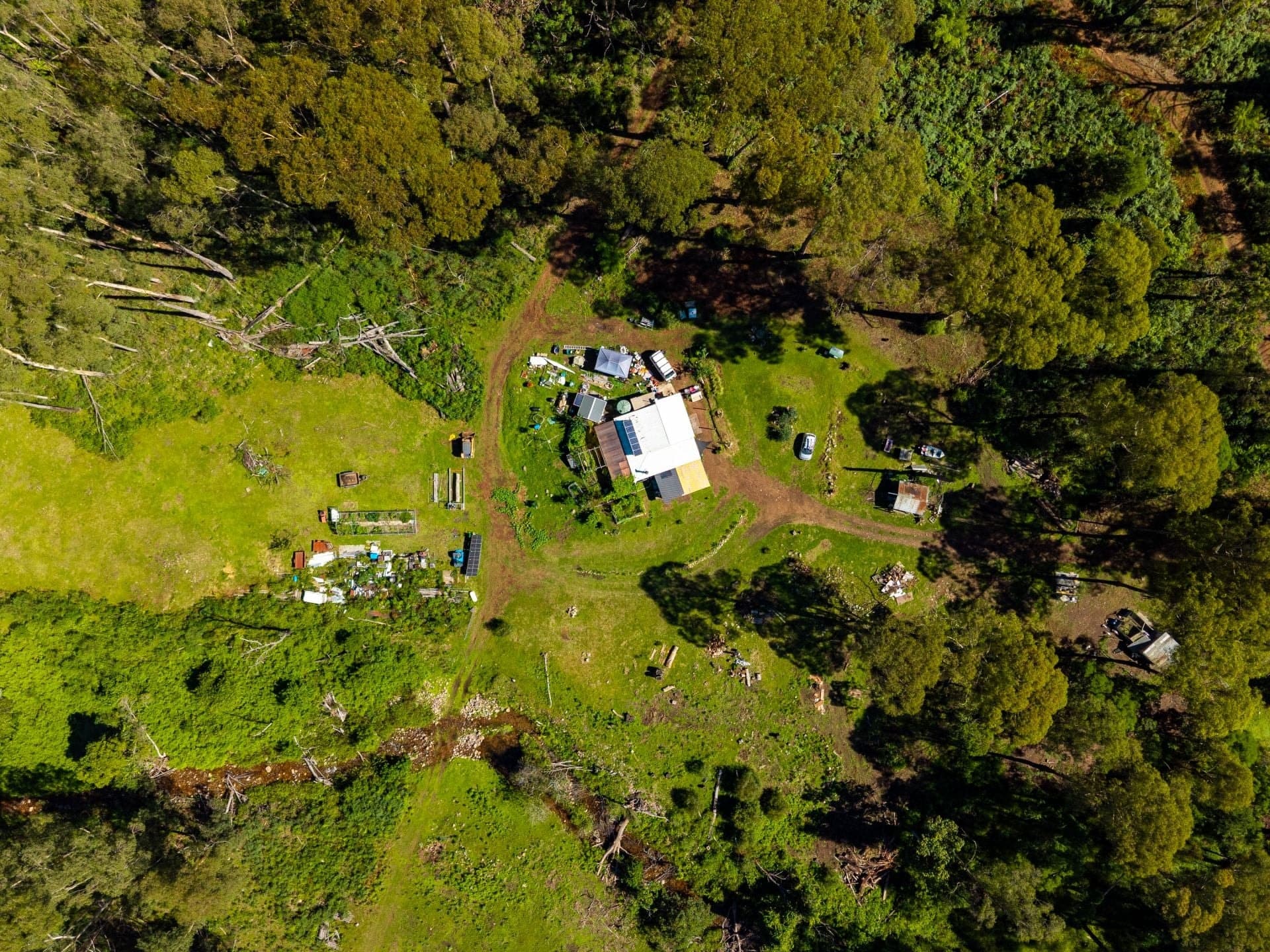 137 Yankees Gap Firetrail Bemboka NSW, 137 Yankees Gap Firetrail Bemboka - Image 1