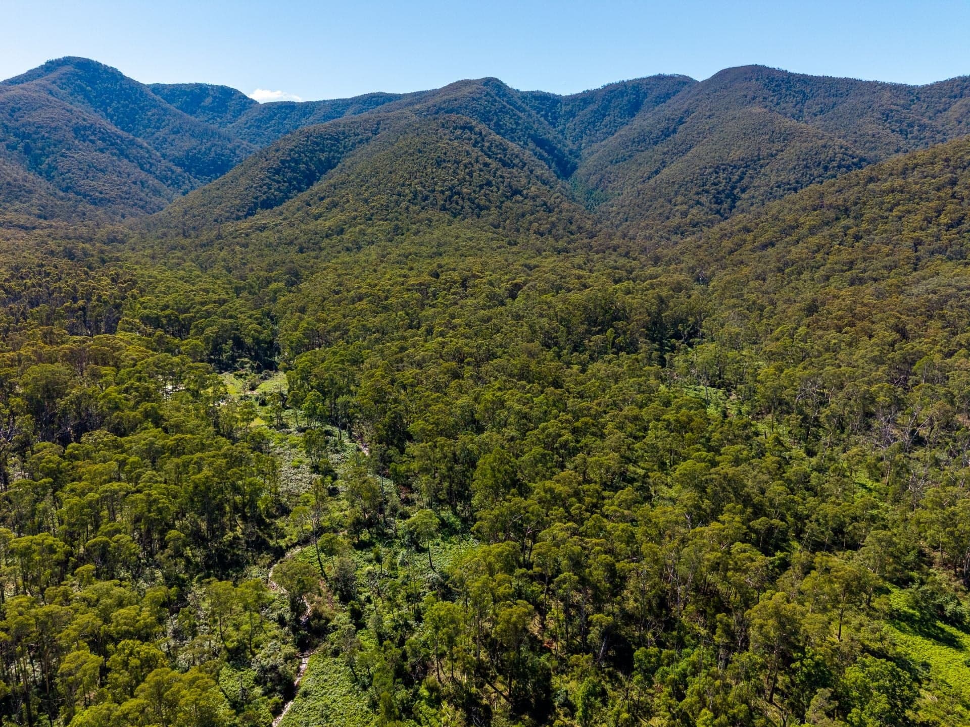 137 Yankees Gap Firetrail Bemboka NSW, 137 Yankees Gap Firetrail Bemboka - Thumbnail 2