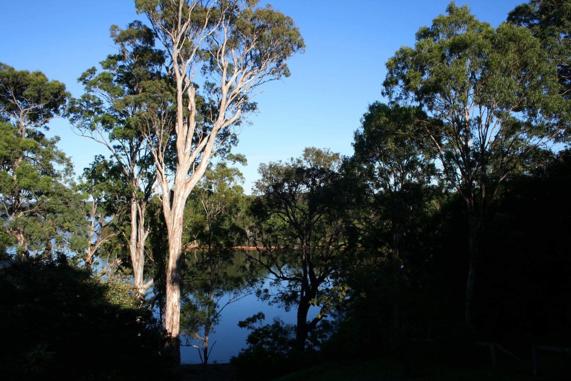 336 Bermagui Road Akolele NSW, Akolele - Thumbnail 2