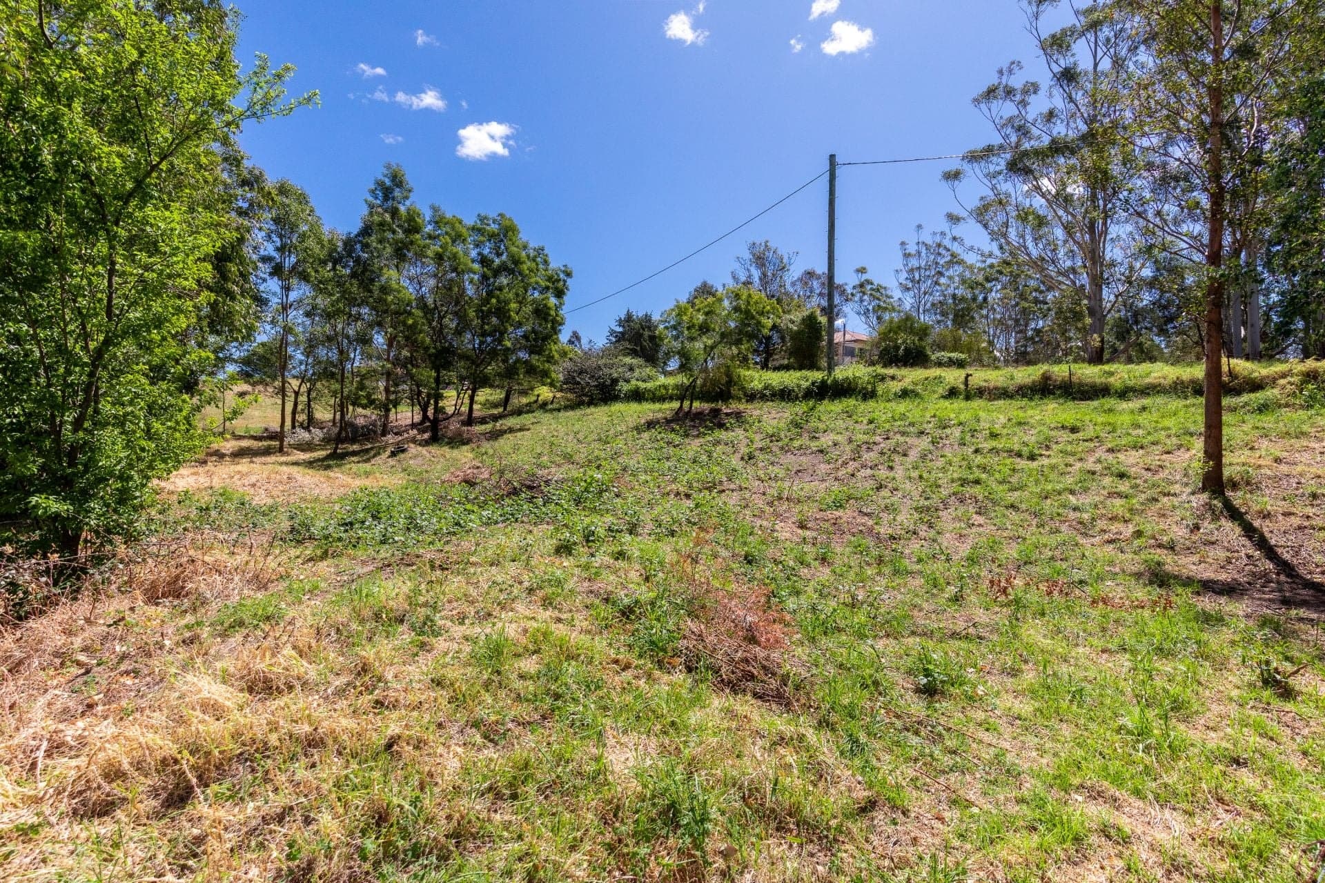 17 Robertson Street Bemboka NSW, Bemboka - Thumbnail 8