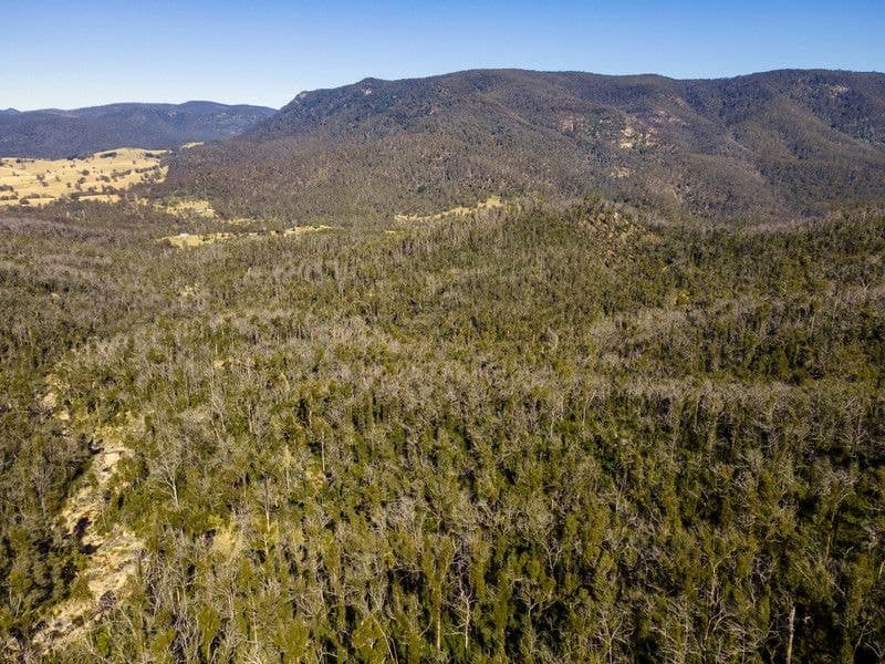 171/DP750243 Big Jack Mountain Road Rocky Hall NSW, Rocky Hall - Image 1