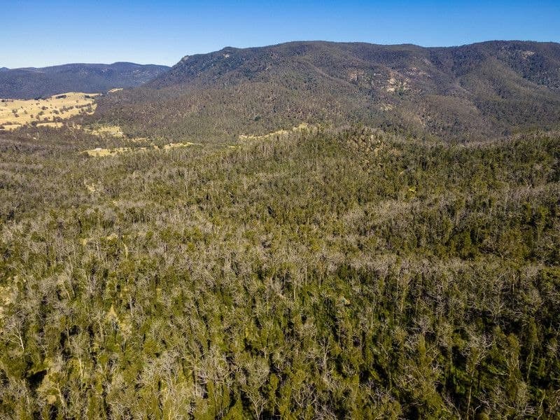 171/DP750243 Big Jack Mountain Road Rocky Hall NSW, Rocky Hall - Thumbnail 2