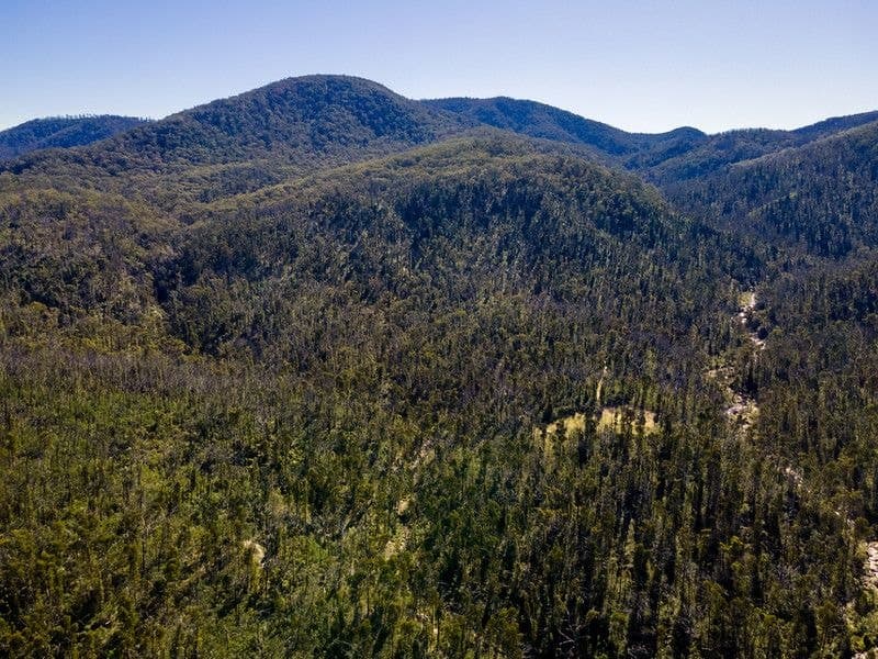 171/DP750243 Big Jack Mountain Road Rocky Hall NSW, Rocky Hall - Thumbnail 4