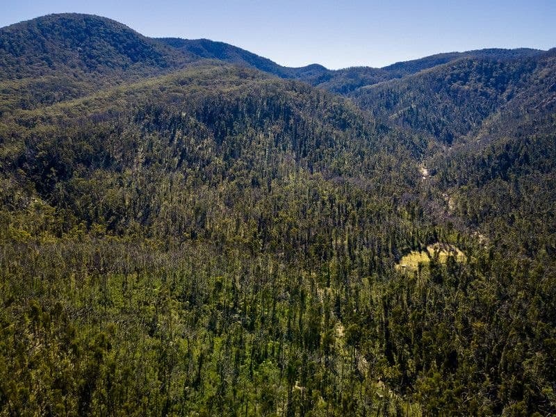 171/DP750243 Big Jack Mountain Road Rocky Hall NSW, Rocky Hall - Thumbnail 7