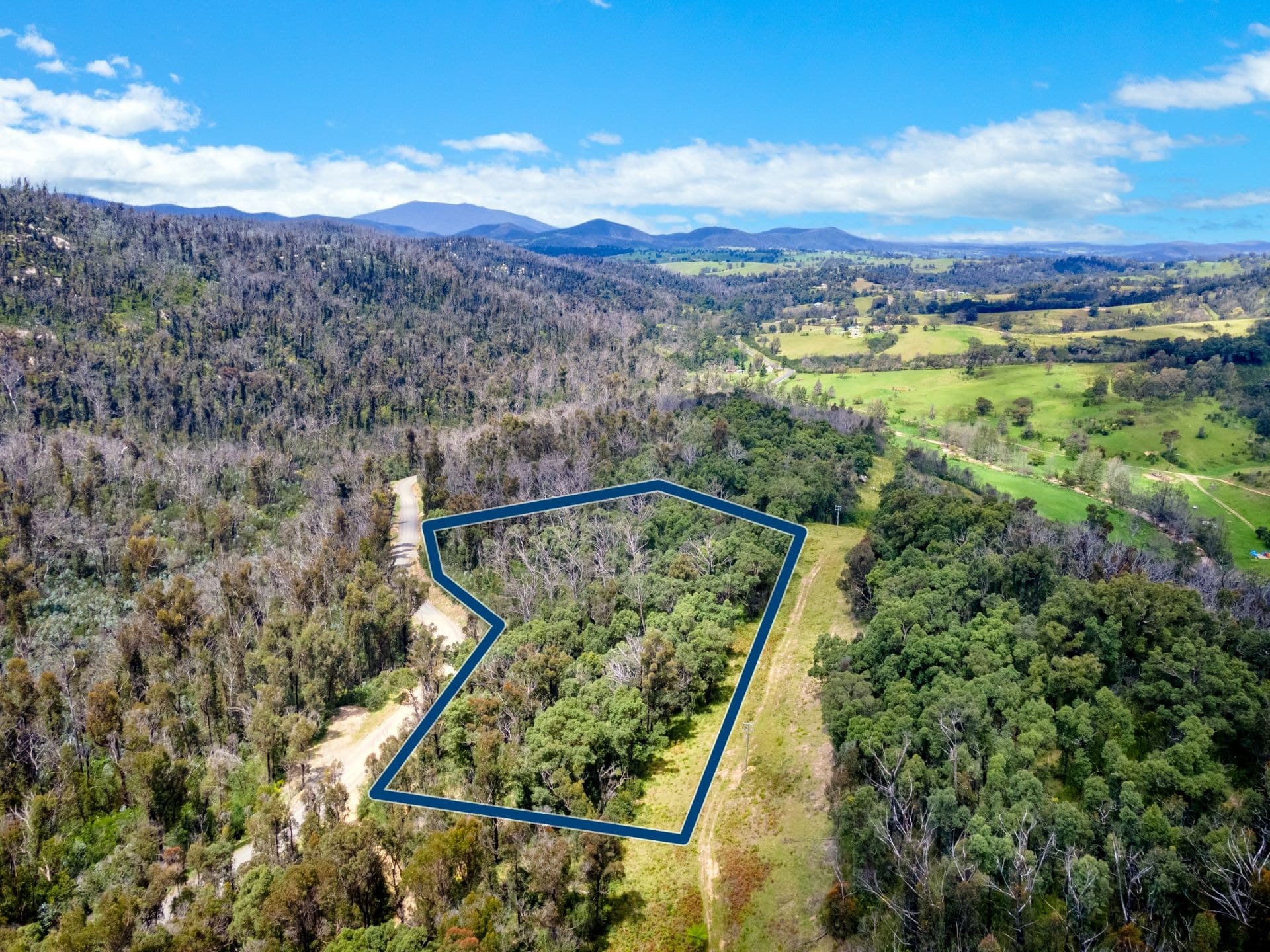 909 Yowrie Road Yowrie NSW, Yowrie - Thumbnail 4