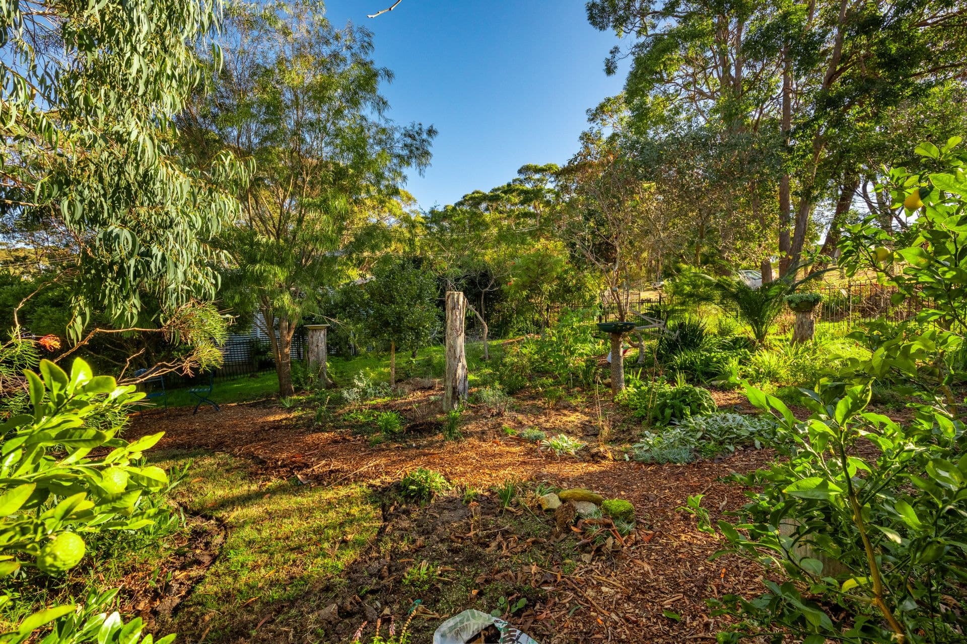 9 Beauty Point Road Wallaga Lake NSW, Wallaga Lake - Thumbnail 8